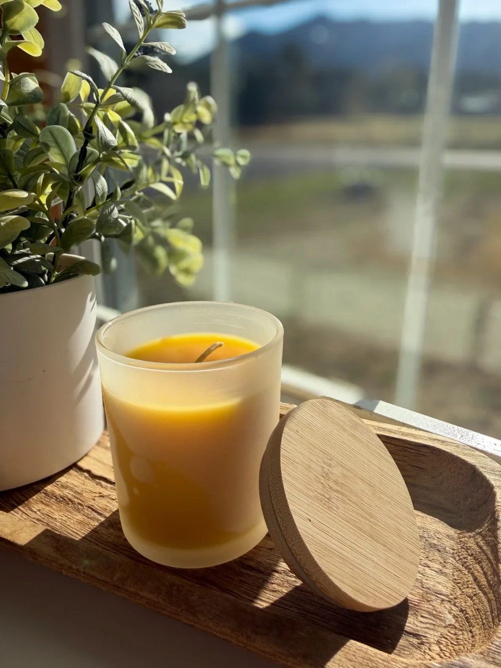 Pure Beeswax Candle in Frosted Glass (6 oz) Natural Non Toxic Healthy Home